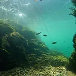 Watermill 102 - Krupana Appartamento Bosanska Krupa