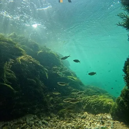 Watermill 102 - Krupana アパート ボサンスカ・クルパ