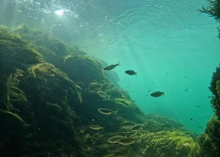 Watermill 102 - Krupana アパート ボサンスカ・クルパ